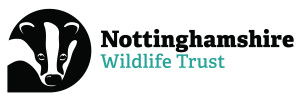 NWT Logo.jpg